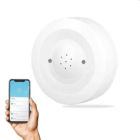 Smart WiFi Water Leak Sensor