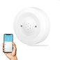 Smart WiFi Water Leak Sensor