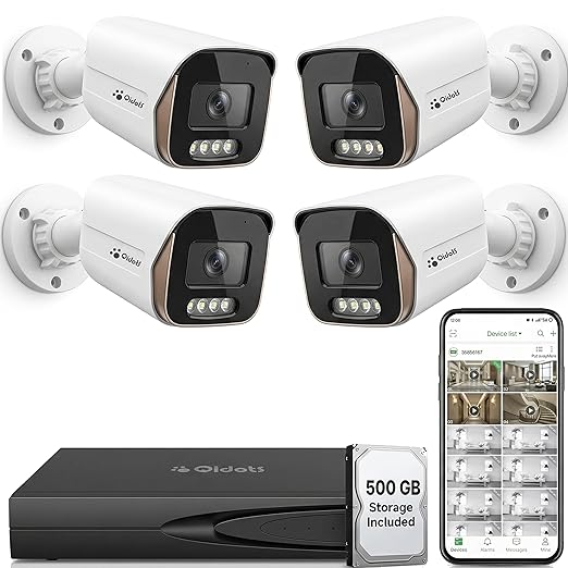QIDOTS 8-Channel 4K CCTV Security Kit | 8MP Cameras x4, AI Detection &amp; 1TB Storage